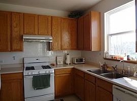  197 Breckenridge Ct, Gilberts, Il 60136 3 Beds 2.5 Baths 1,780 in Gilberts, IL (Photo 4 of 8)