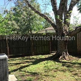 Single Family Home For Rent in Cypress, TX (Photo 8 of 8)