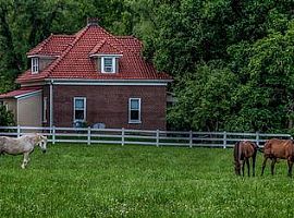 A Beautiful 3 Bedroom Apartment, with 2 Bathrooms in Chesterfield, MO (Photo 9 of 11)