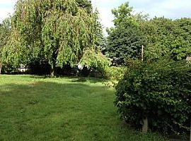 105 Windsor Rd, Hamden, Ct 06517 in Hamden, CT (Photo 6 of 12)