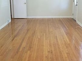 2342 Green Forrest Dr, Decatur, Ga 30032  (747) 444-3766 in Decatur, GA (Photo 11 of 12)