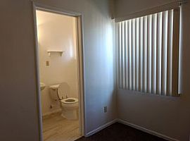 4 Beds 3 Baths For More Information Contact (979) 493-0047 in Apex, NC (Photo 5 of 6)