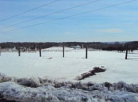 3 Beds 2 Baths For More Information Contact (979) 493-0047 in Neshanic Station, NJ (Photo 12 of 12)