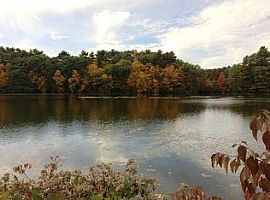 Coram St Hamden, Ct 06517 in Hamden, CT (Photo 10 of 12)