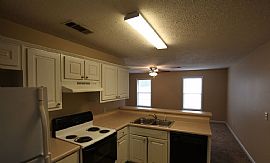 1950 Panda Court Panda Ct, Auburn, Al 36830 in Auburn, AL (Photo 5 of 5)