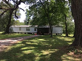 Tranquility and Privacy Amid Towering Oaks in Boling, TX