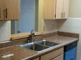 702 Medina Ct, Saint Augu Rent 750 Deposit 750 Total 1500 in Saint Augustine, FL (Photo 3 of 5)