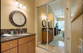 Cinnamon Teal Aliso Viejo in Aliso Viejo, CA