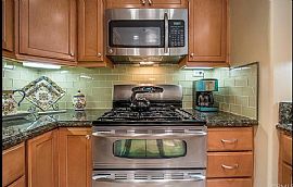 Cinnamon Teal Aliso Viejo in Aliso Viejo, CA (Photo 3 of 3)