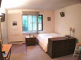 1 Bed 1 Bath in Indian Creek, IL (Photo 5 of 6)