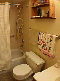 1 Bed 1 Bath in Indian Creek, IL (Photo 6 of 6)