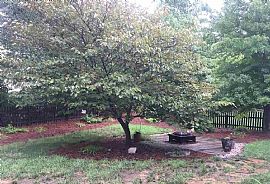 628 Twain Town Dr, Knightdale, Nc 27545 3 Beds 2.5 Baths 1,803  in Knightdale, NC (Photo 4 of 4)