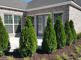 3 Beds 2 Baths in Fayetteville, AR (Photo 6 of 7)