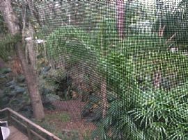 2 Bed 1 Bath Located in Downtown Orlando in Orlando, FL (Photo 2 of 9)