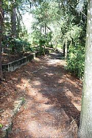 2 Bed 1 Bath Located in Downtown Orlando in Orlando, FL (Photo 5 of 9)