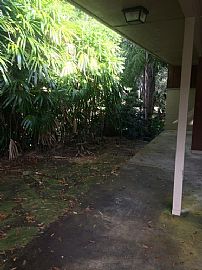 2 Bed 1 Bath Located in Downtown Orlando in Orlando, FL (Photo 9 of 9)