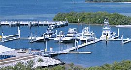 3 Bedroom 2.5 Bathroom at 6030 Printery St Unit 106, Tampa in Tampa, FL (Photo 9 of 12)