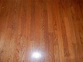 1307 N Thompson St, Conro Rent 700 Deposit 700 Total 1400 in Conroe, TX (Photo 3 of 8)