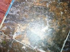 284 Meadowbrook Dr, Cadiz, Ky 42211 Contact/me 4063445061  in Cadiz, KY (Photo 9 of 10)