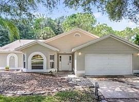 5225 Swallow Dr, Land O Lakes, Fl 34639 in Land O Lakes, FL