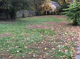 Sutton Ave Cincinnati, Oh 45230 2 Beds 1 Bath 864 Sqft in Cincinnati, OH (Photo 2 of 6)