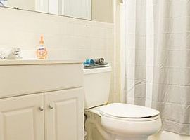 2 Beds 1 Baths in Storrs Mansfield, CT (Photo 11 of 12)