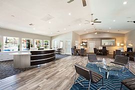 Conveniently Apartment 3 Beds 2 Baths in Phoenix, AZ (Photo 2 of 7)