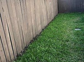 Uptown Brand New Renovation!! in New Orleans, LA (Photo 3 of 7)