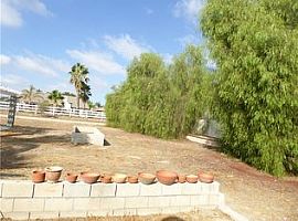 13053 Shubert St, Moreno Valley, Ca 92555 3 Beds 2 Baths 1,204  in Moreno Valley, CA (Photo 3 of 4)