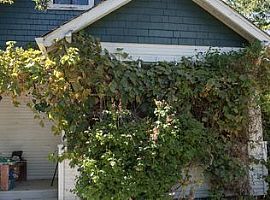 127 1/2 Keystone Ave, Reno, Nv 89503 in Reno, NV