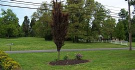 4300 Lovelaceville Road Lovelaceville Road Furni, Paducah, Ky 2 in Lone Oak, KY (Photo 11 of 11)