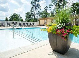 2 Beds · 2 Baths 201 Retreat Dr, Birmingham, A in Birmingham, AL (Photo 4 of 10)