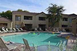 3 Bed,2 Bath. For Any Questions Or to Schedule a Showing Please in Scottsdale, AZ (Photo 9 of 9)