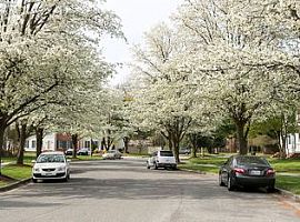 1033 Baccharis Dr, Salisbury, Md 21804 in Salisbury, MD (Photo 10 of 10)