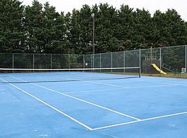 1033 Baccharis Dr, Salisbury, Md 21804 in Salisbury, MD (Photo 9 of 10)