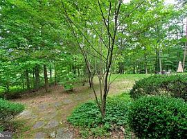 204 Sportsman Neck Rd, Queenstown, Md 21658 in Queenstown, MD (Photo 9 of 12)