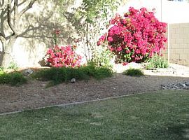 14875 N 103rd St, Scottsdale, Az 85255 in Scottsdale, AZ (Photo 2 of 10)