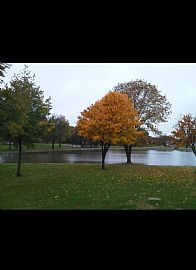 3 Bedrooms in Cedar Lake, IN (Photo 12 of 12)