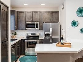 2 Beds 2 Baths For Rent in Scottsdale, AZ (Photo 8 of 12)