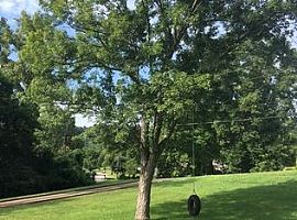 2 Beds 1 Bath For Rent  in Nashville, TN (Photo 5 of 7)