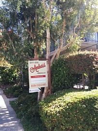 1221 Amherst Ave Apt 4, Los Angeles,  in Los Angeles, CA