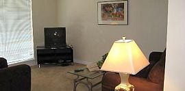 A Very Unique 1 Bedroom  in Houston, TX (Photo 7 of 9)