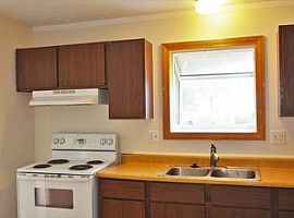 3bed 1.5 Bath in Columbus, OH (Photo 3 of 4)