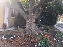 Single Family Home with Apartment Price.  in Pasadena, CA (Photo 2 of 10)