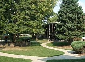 1 Bed 1 Bath in Mount Prospect, IL (Photo 2 of 9)