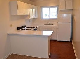 1 Bed 1 Bath in Mount Prospect, IL (Photo 4 of 9)