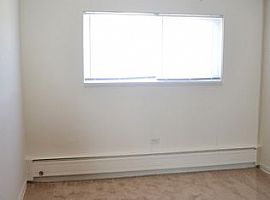 1 Bed 1 Bath in Mount Prospect, IL (Photo 6 of 9)