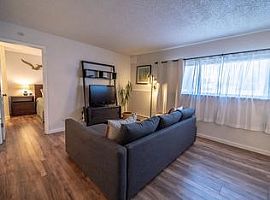 Fully Furnished in Colorado Springs, CO (Photo 10 of 12)