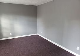 329 Quail Hills Dr, Hopkins, Sc     3 Beds 2 Baths in Hopkins, SC (Photo 6 of 10)