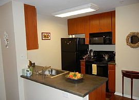 Accomodating 1 Bedroom in San Diego, CA